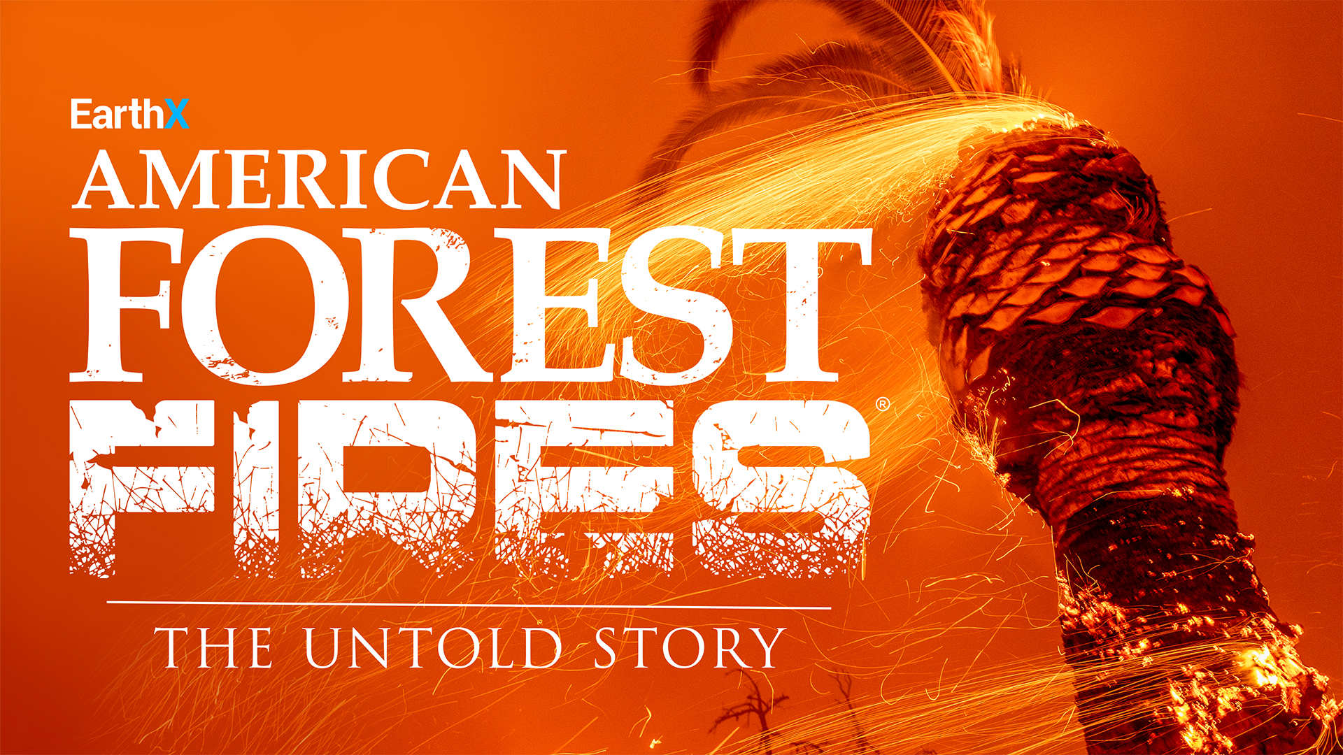 American Forest Fires: The Untold Story