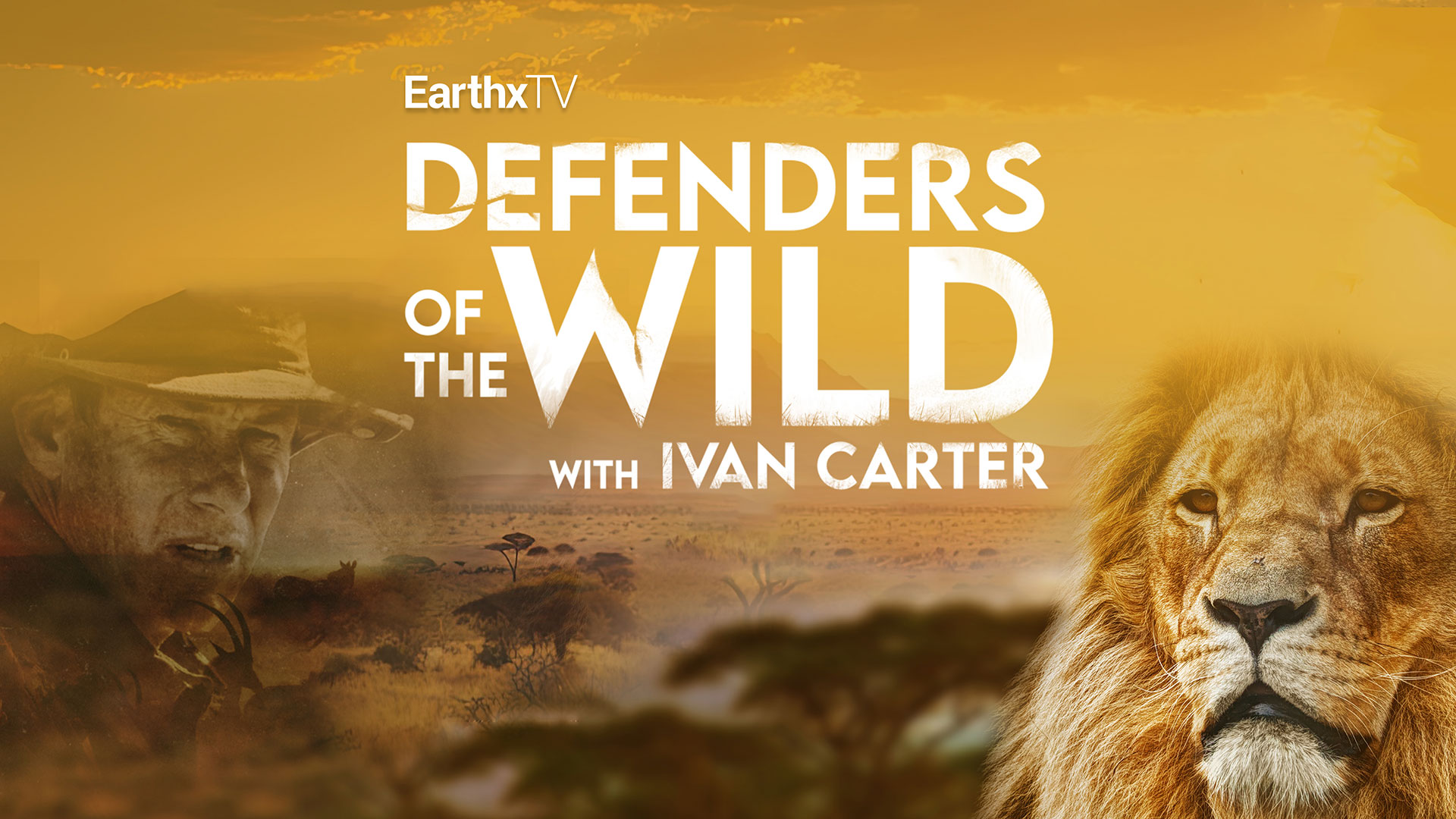 その他 Nature: Defenders of the Wild [DVD] s-l400.jpg