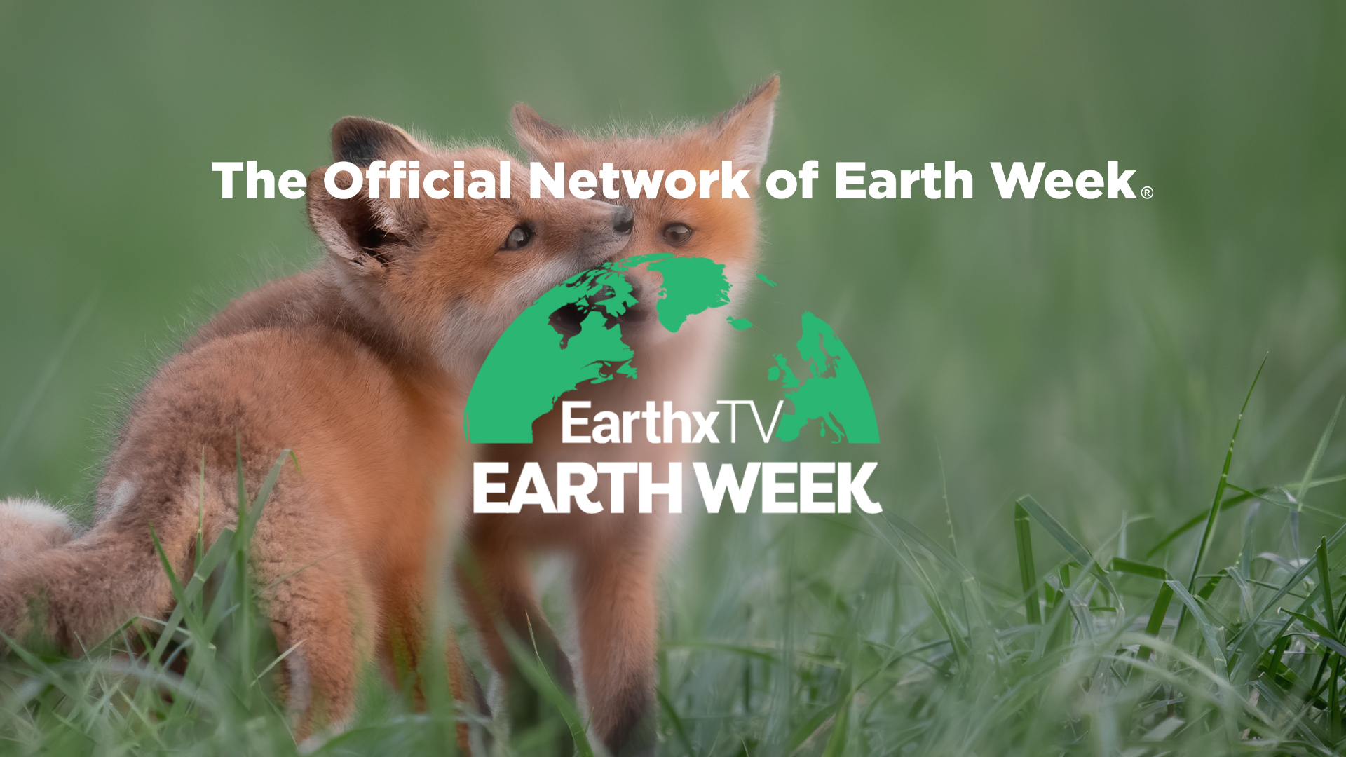 The Official Network of Earth Week