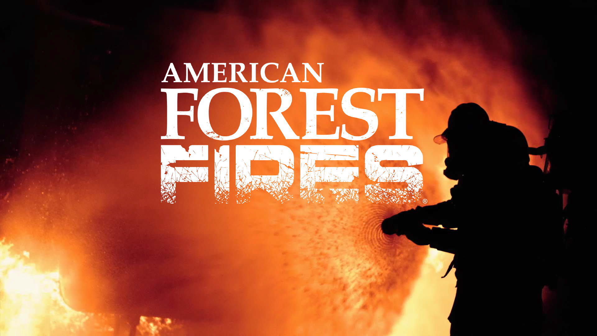 American Forest Fires: The Untold Story