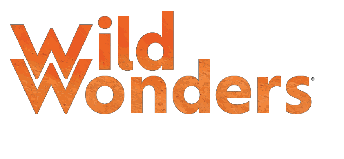 Wild Wonders with Brooke Logo