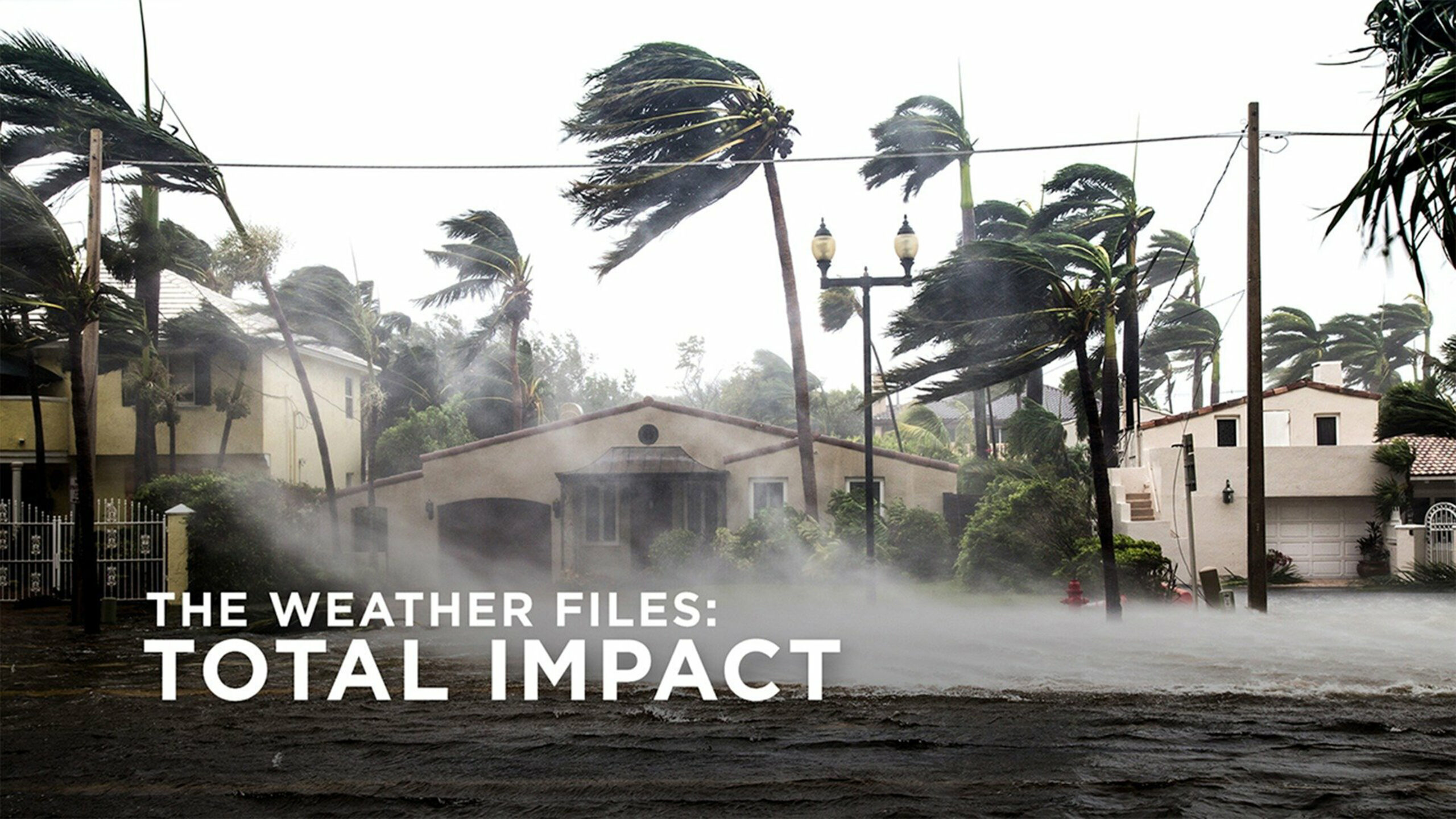 The Weather Files: Total Impact