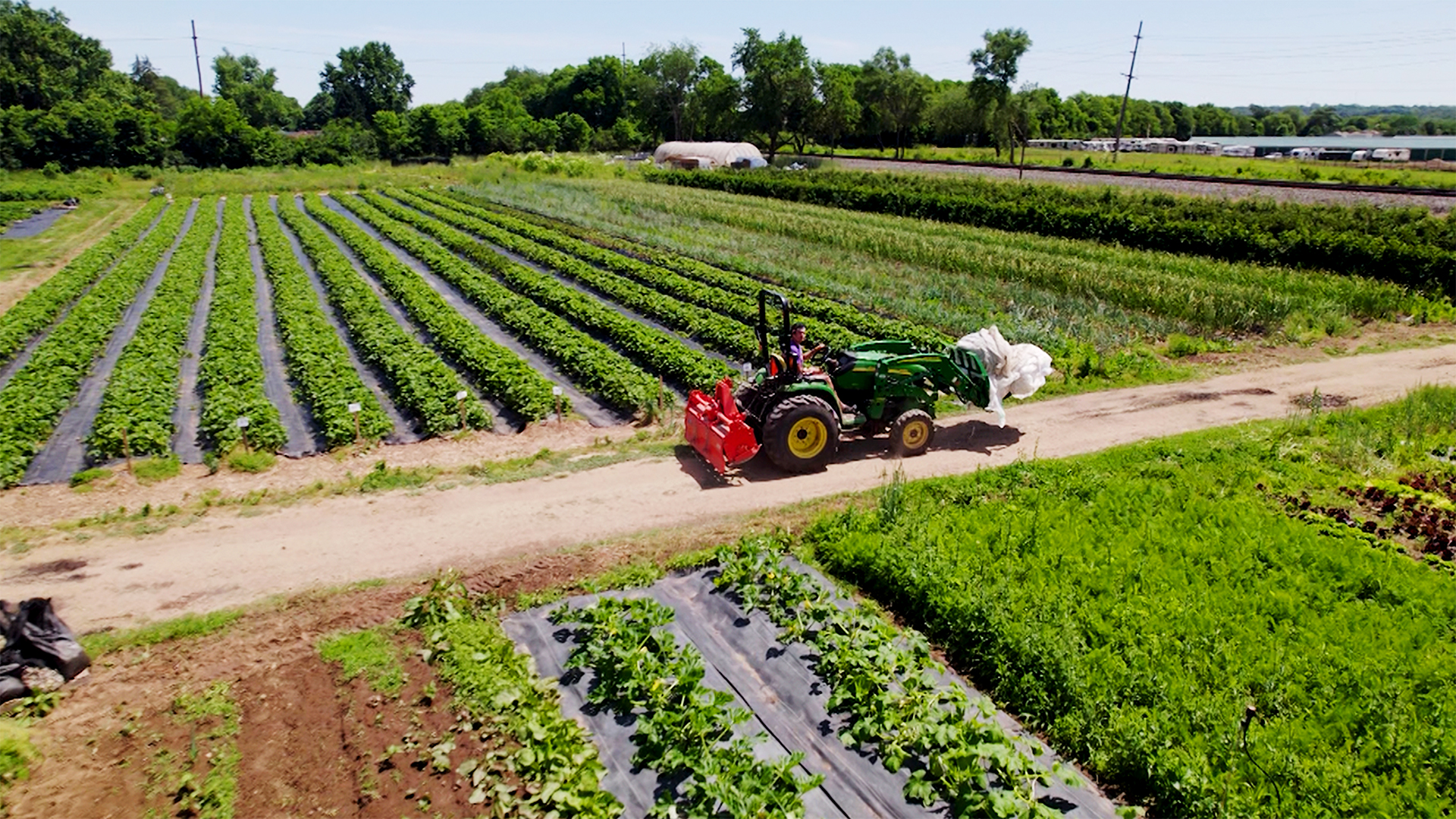 Farm Hero