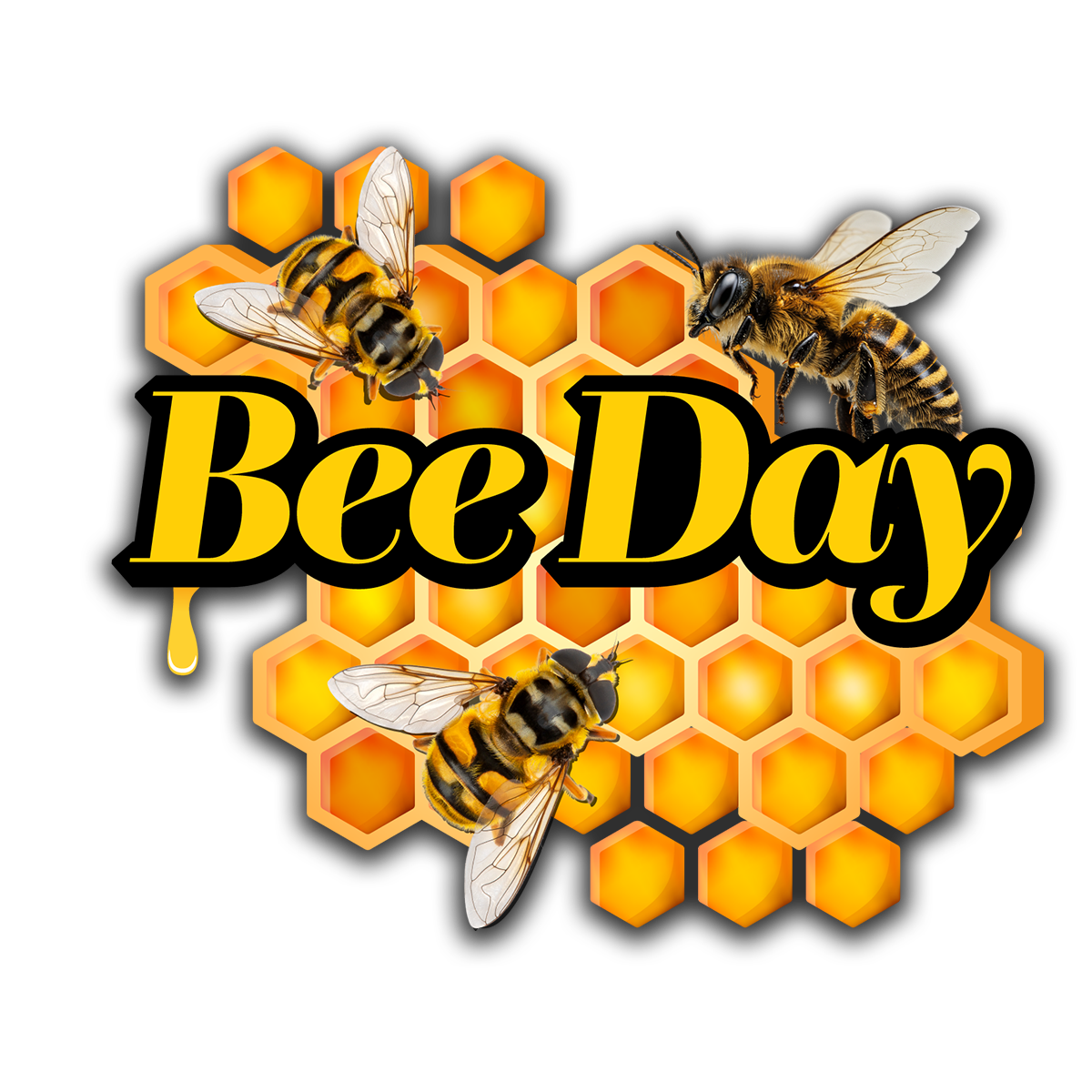 Show Logo