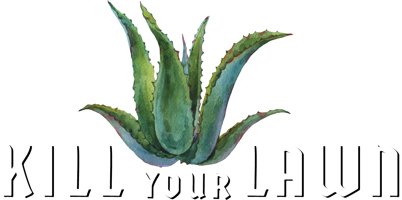 Show Logo