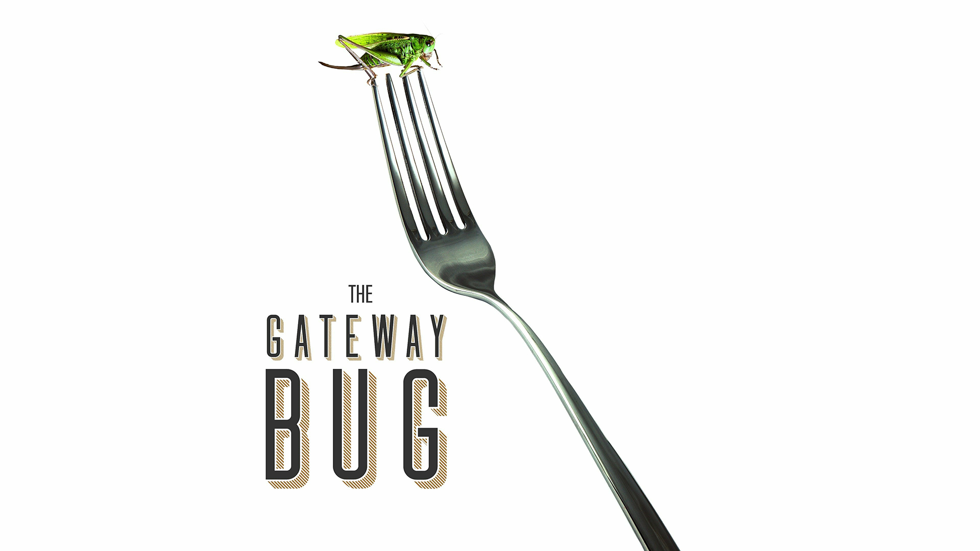 The Gateway Bug