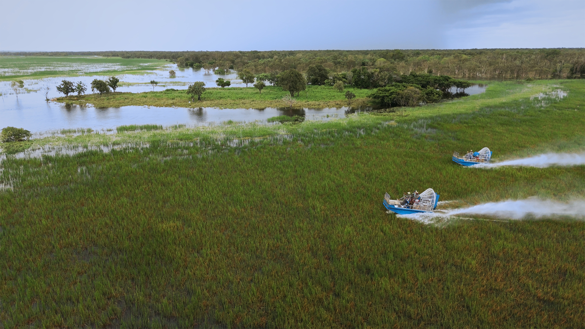 Wetlands: Ephemeral Sanctuaries