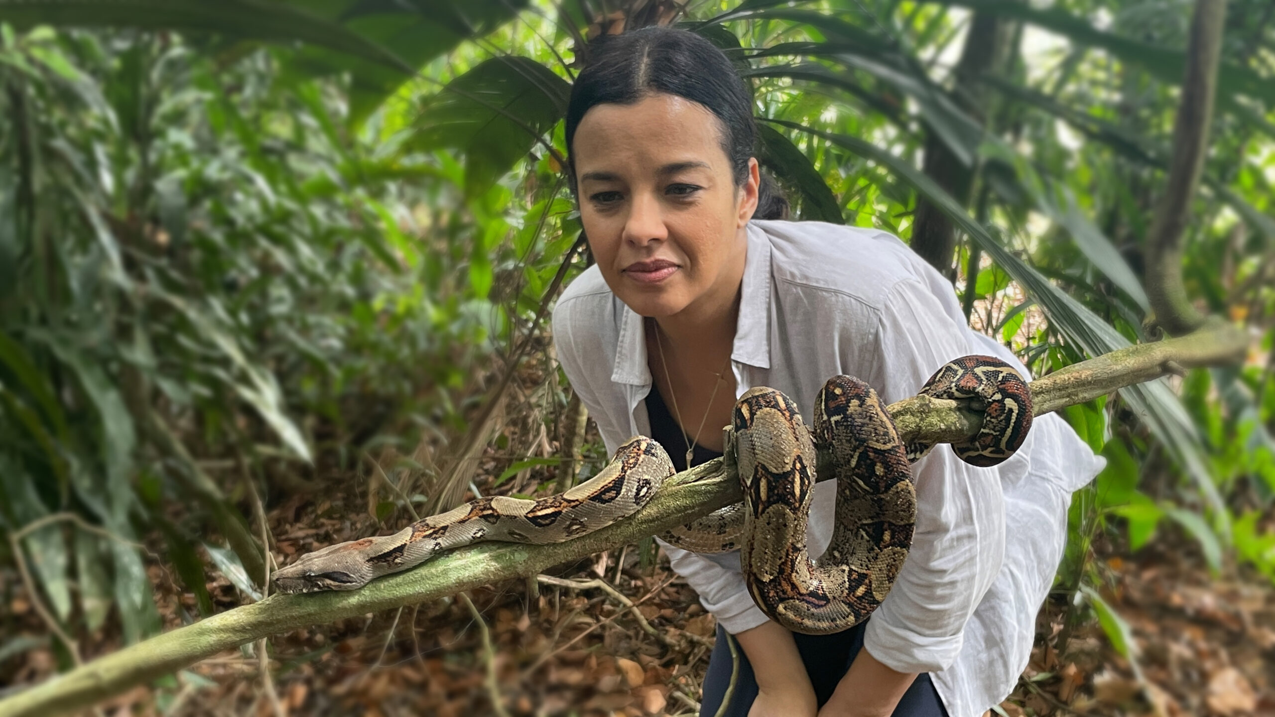 Wild Caribbean with Liz Bonnin