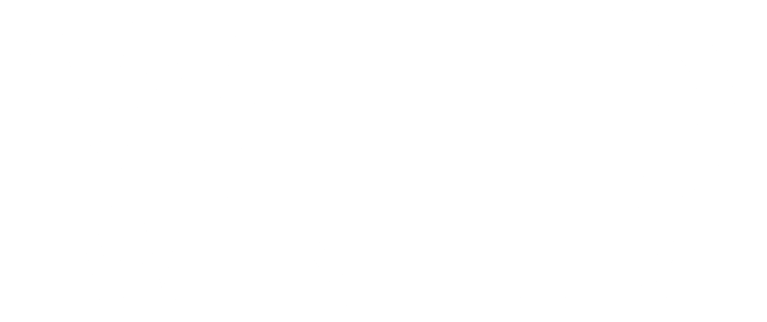 Wild Winter Logo