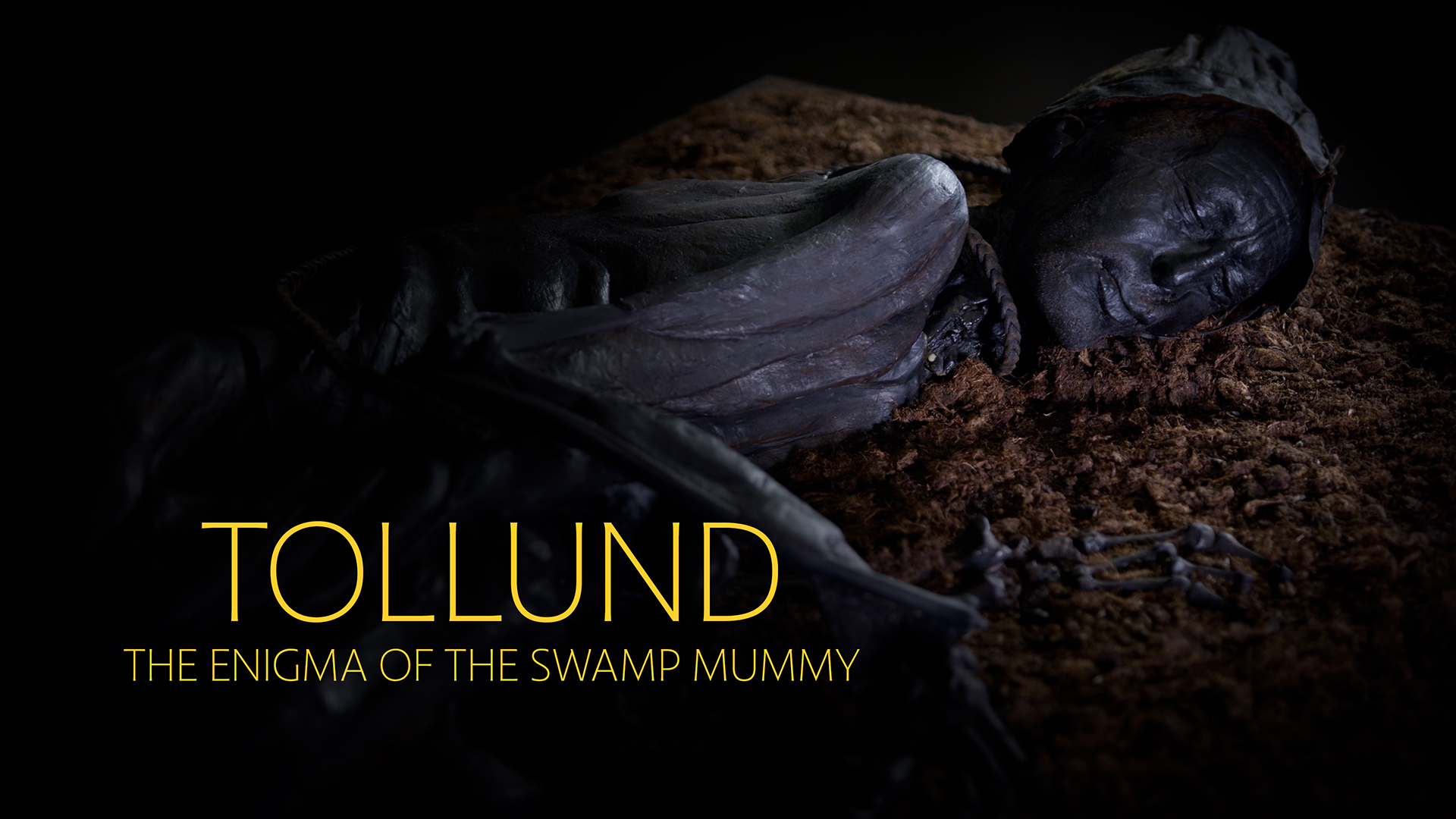 Tollund: The Enigma of The Swamp Mummy