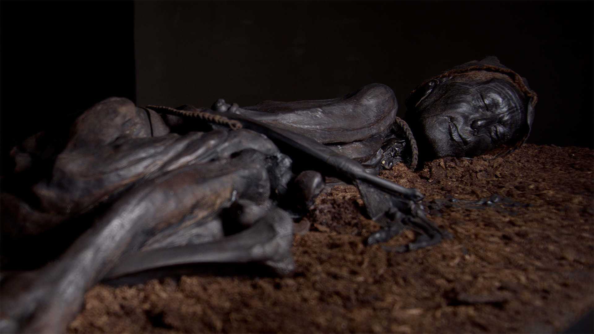 Tollund: The Enigma of The Swamp Mummy Tollund: The Enigma of The Swamp Mummy