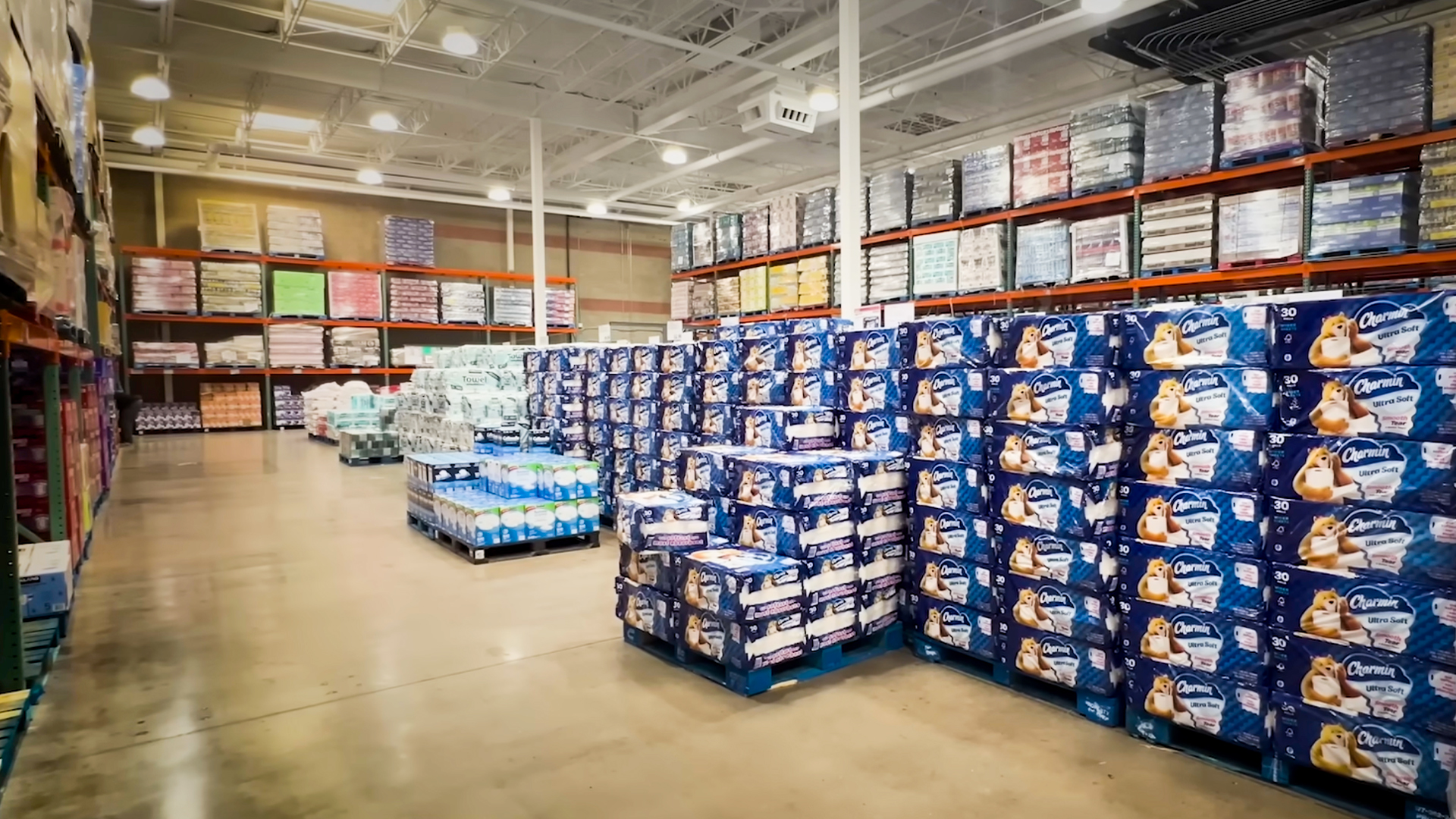 Charmin Wipes Out a Forest