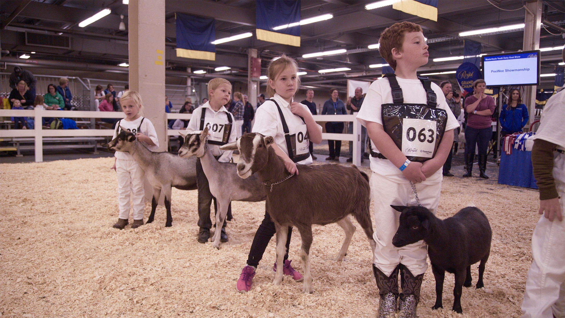 The Wonderful World of Goats