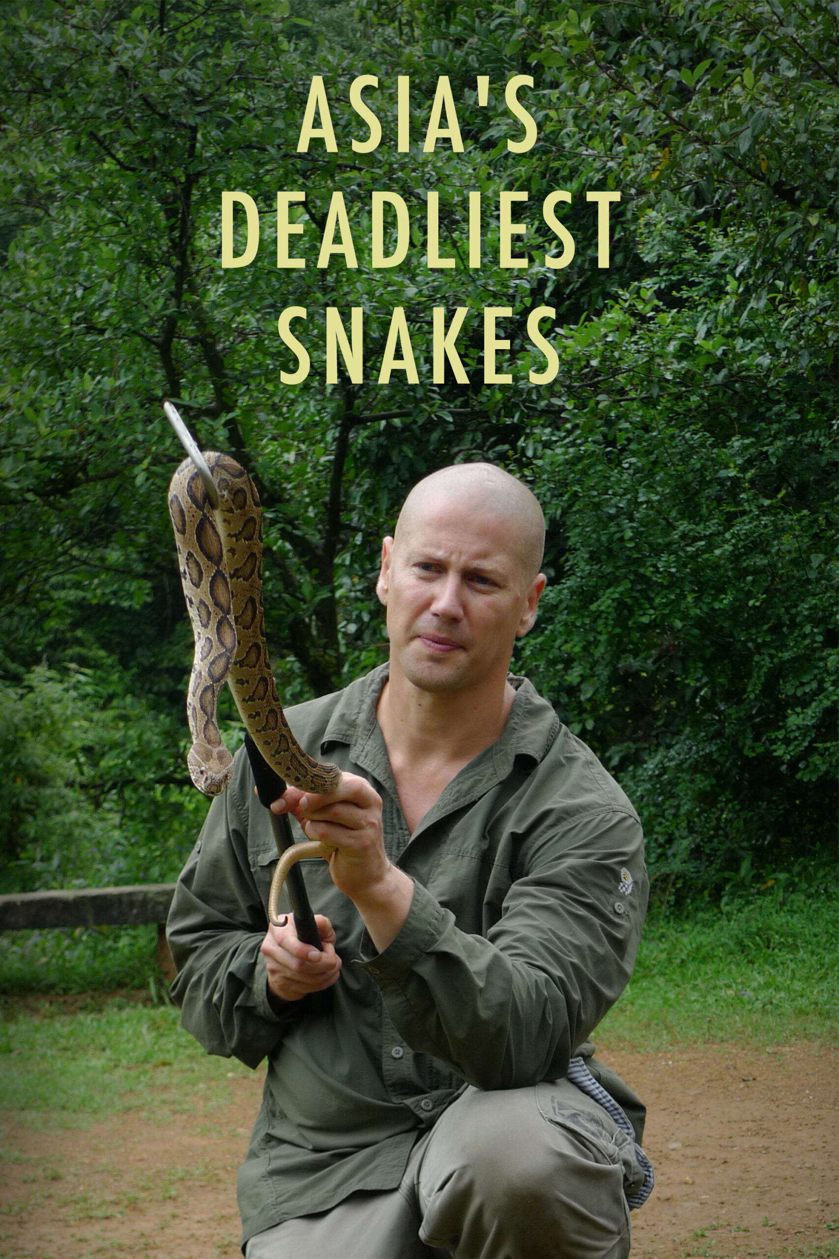 Asia’s Deadliest Snakes