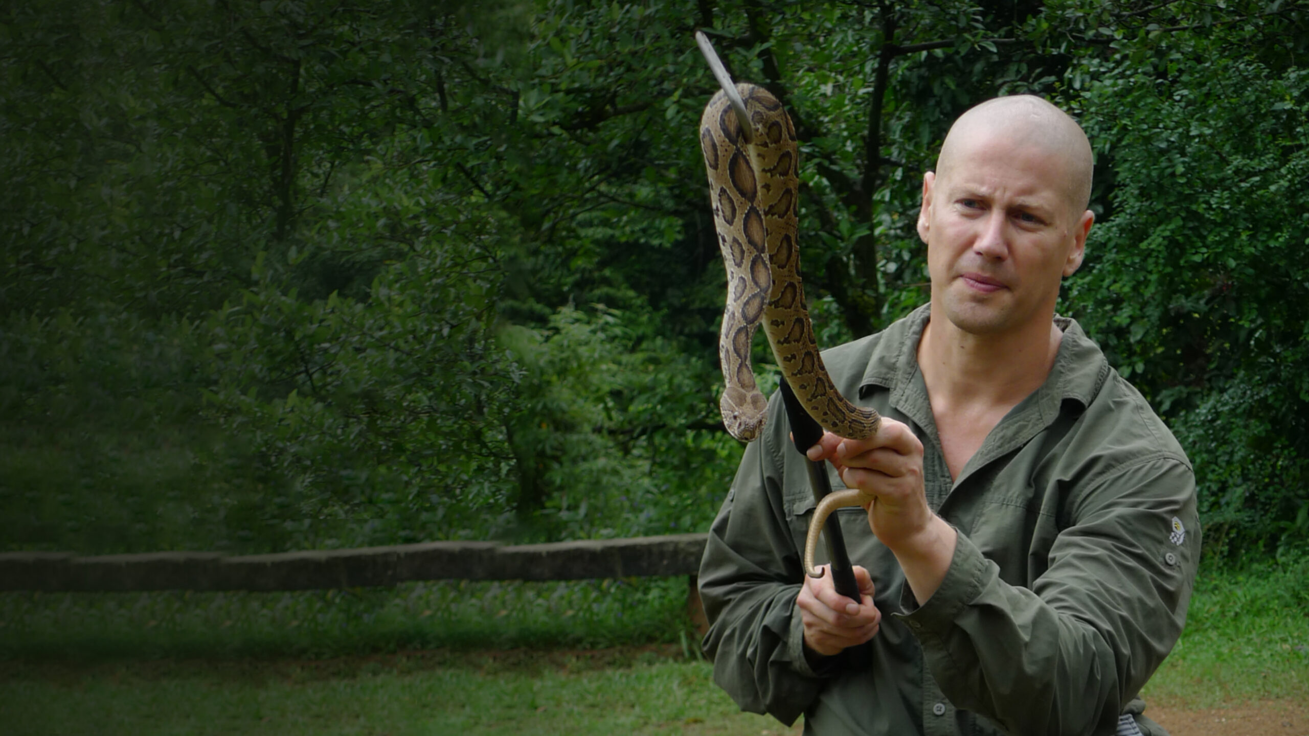 Asia’s Deadliest Snakes