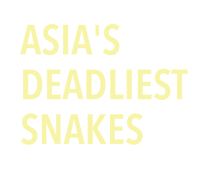 Asia’s Deadliest Snakes Logo