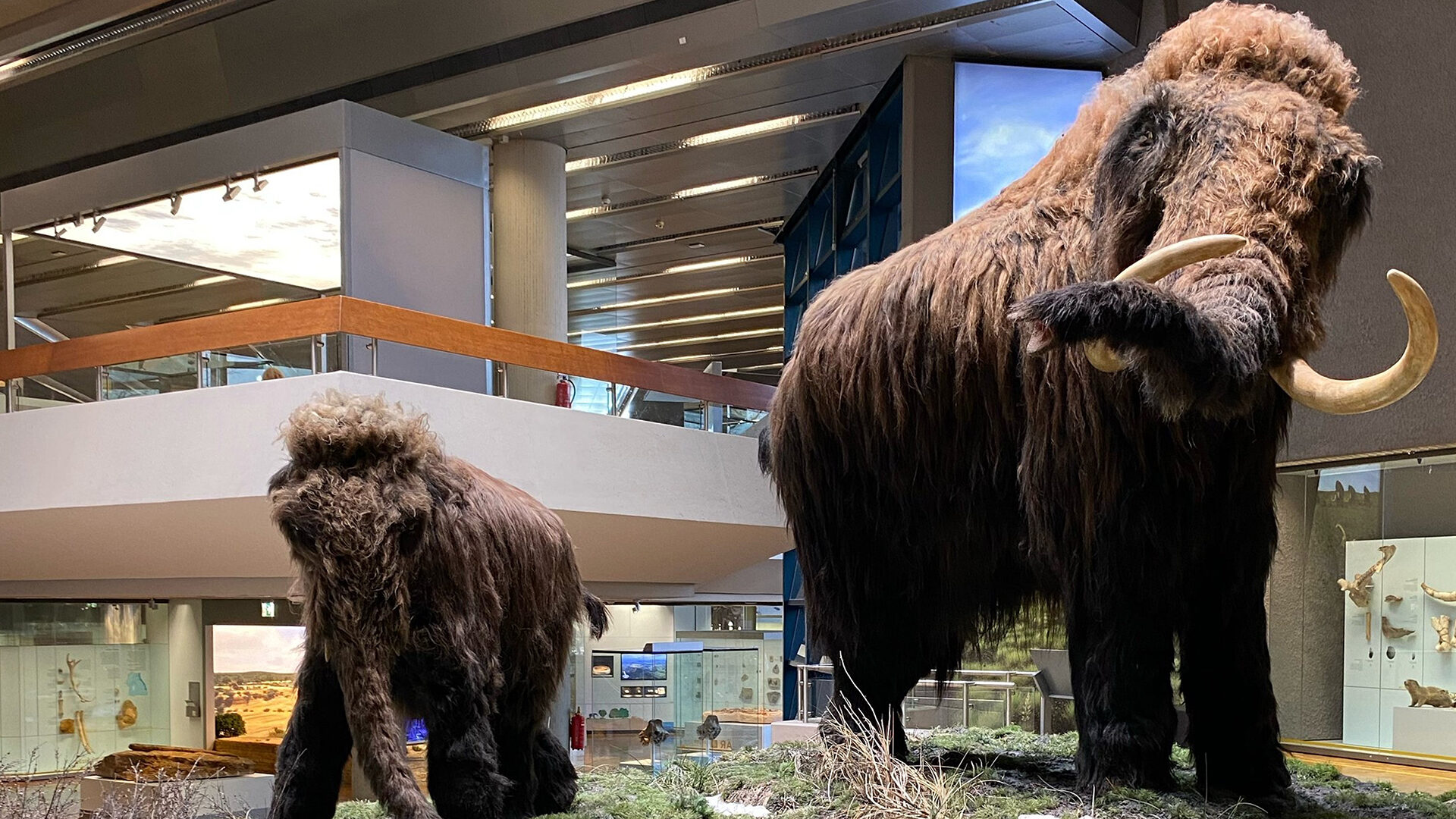 De-Extinction: Species Protection 2.0?