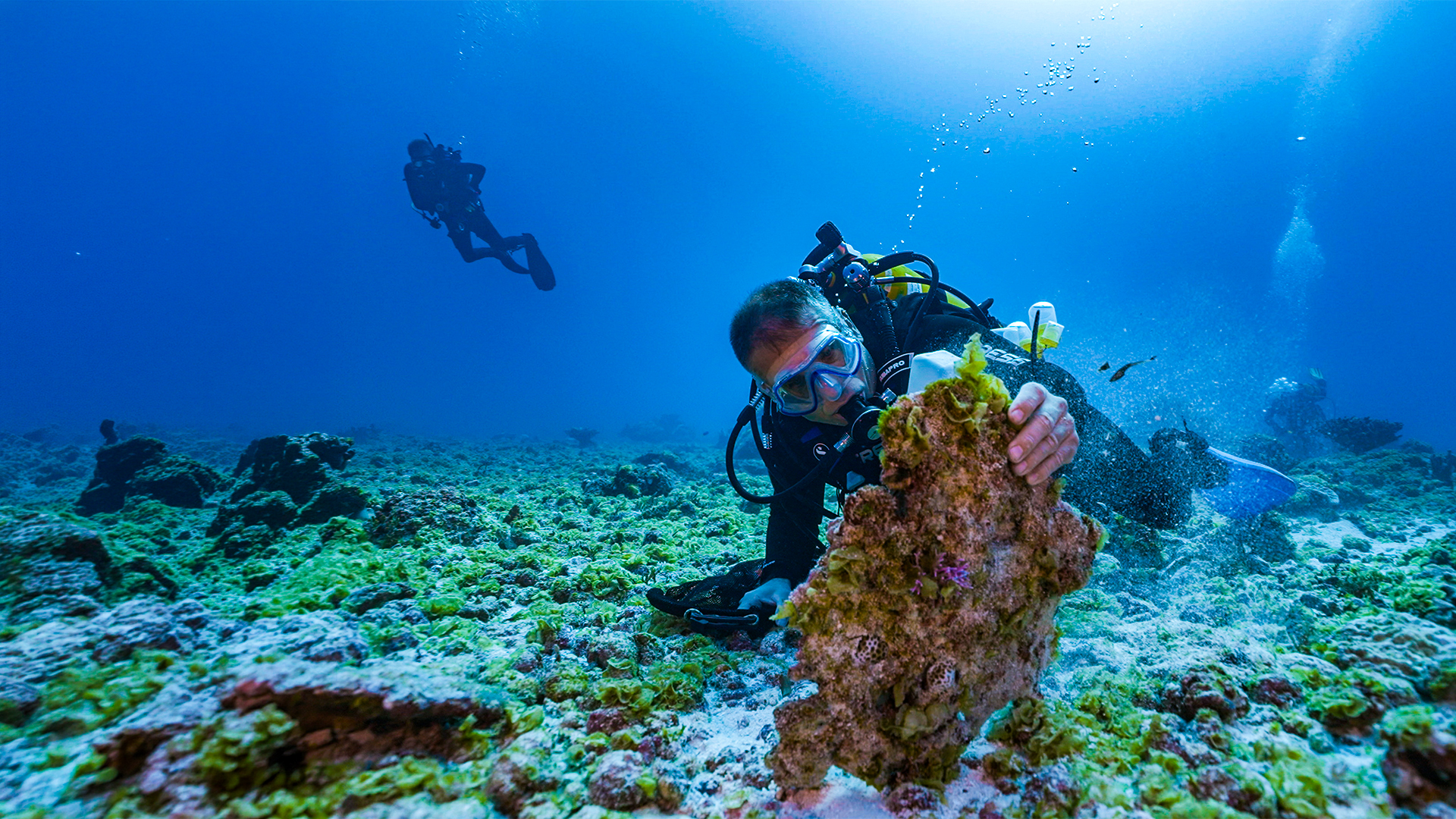 Mission Saving Paradise