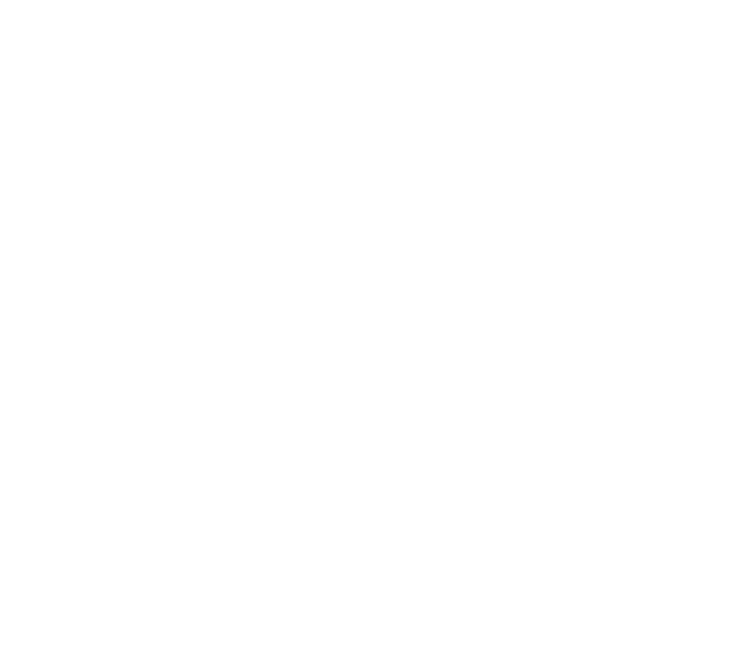 Wild Palm Beaches Logo