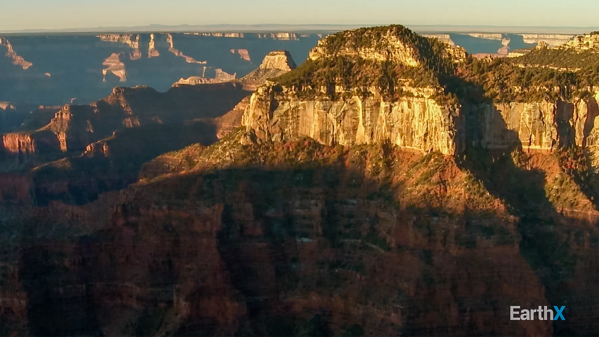 Love Our Planet