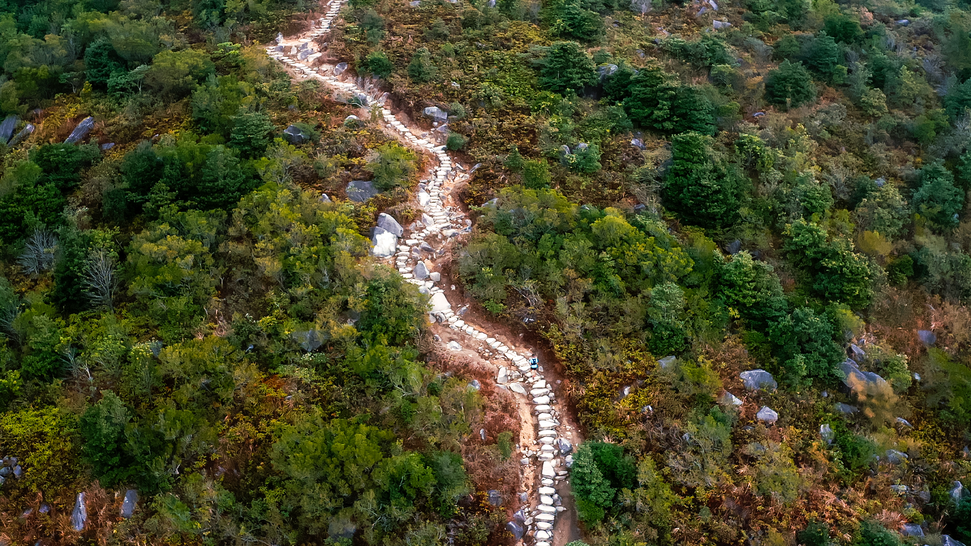 Four Trails