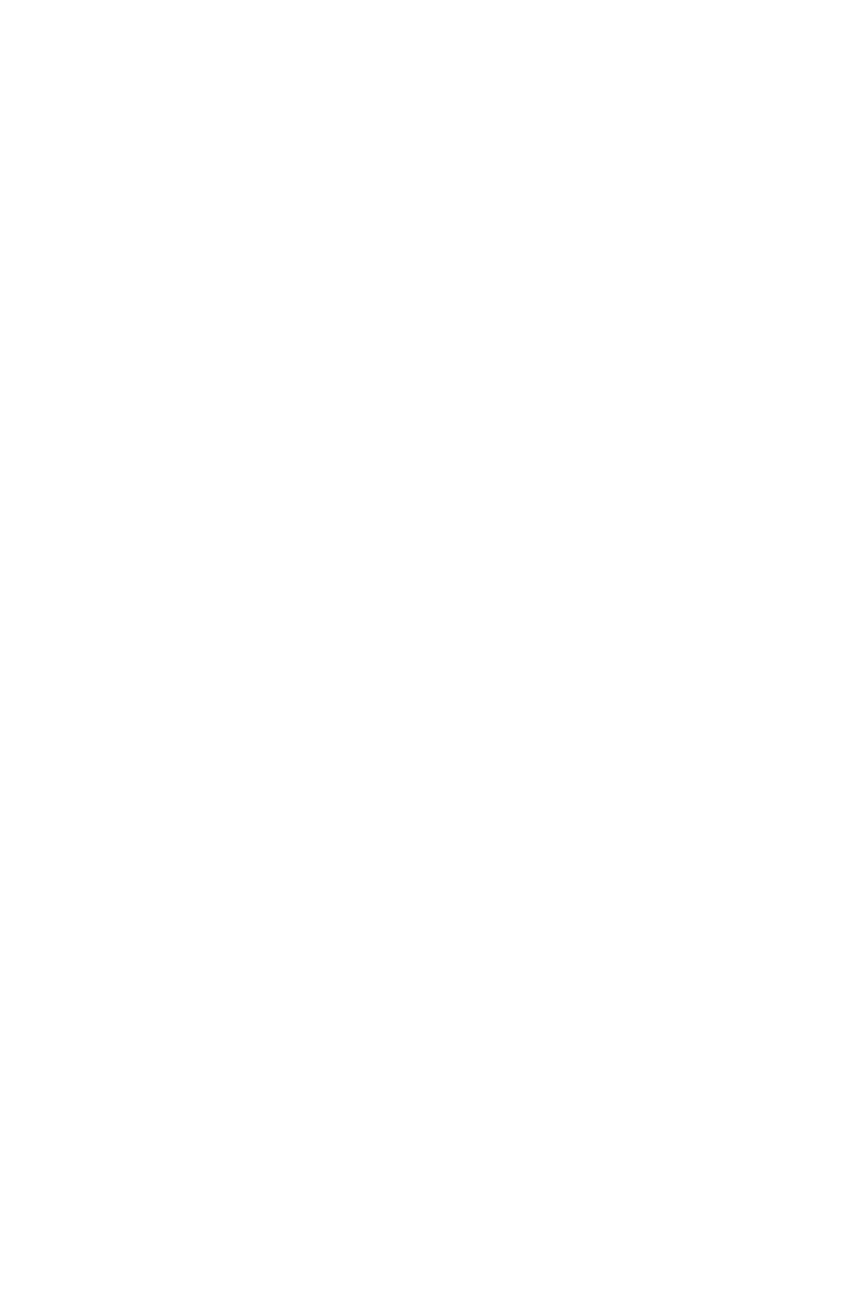 The Big Tree Logo